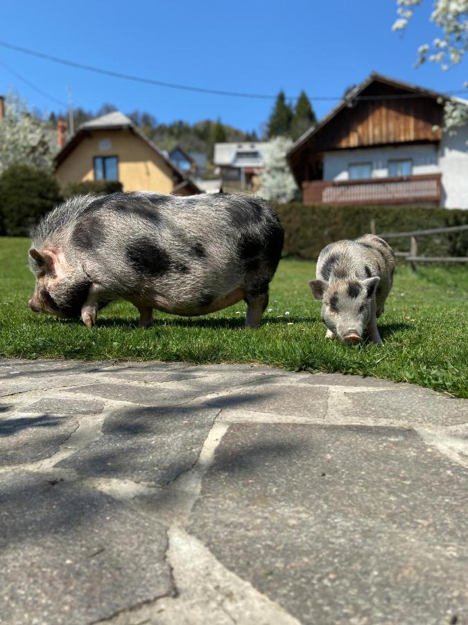 Tourist Farm "Pri Biscu" Villa Bled Exteriör bild